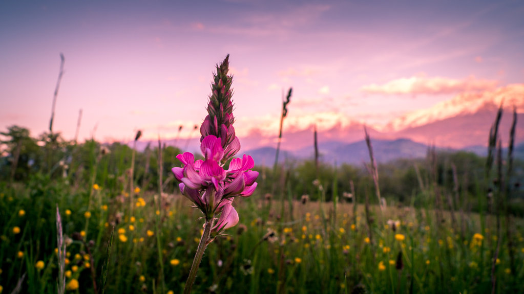 Un soir de printemps à la montagne